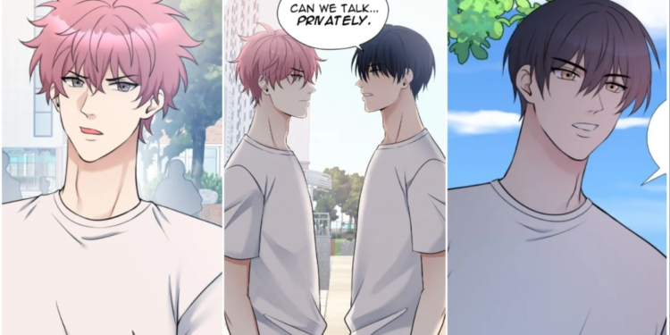 School Love BL Romance