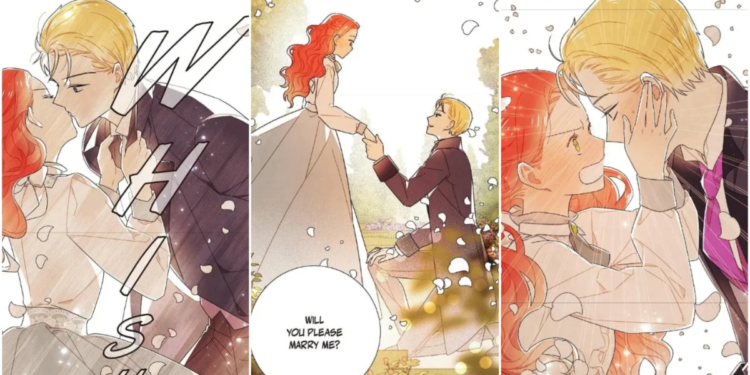 Zeronis Proposes to Ripley